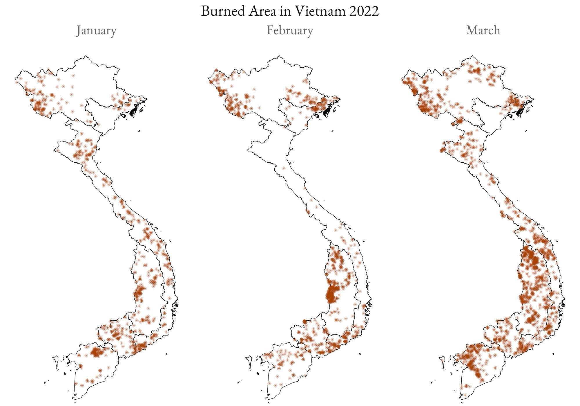Vietnam Fire